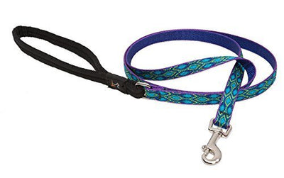 LupinePet Originals 1/2" Rain Song 6-foot Padded Handle Leash for Small Pets