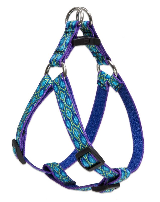 LupinePet Originals 3/4" Rain Song 15-21" Step In Harness for Small Dogs