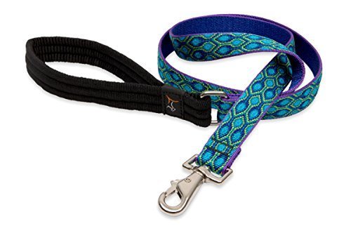 LupinePet Originals 1" Rain Song 6-Foot Padded Handle Leash for Medium and Larger Dogs