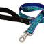 Lupine Leashes