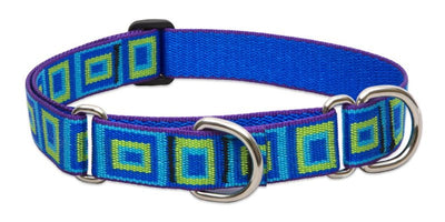 LupinePet Originals 1" Sea Glass 15-22" Martingale Collar for Medium and Larger Dogs