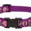 Lupine Dog Collar