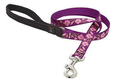 LupinePet Originals 3/4" Rose Garden 6-Foot Padded Handle Leash for Medium and Larger Dogs