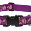 Lupine Dog Collar