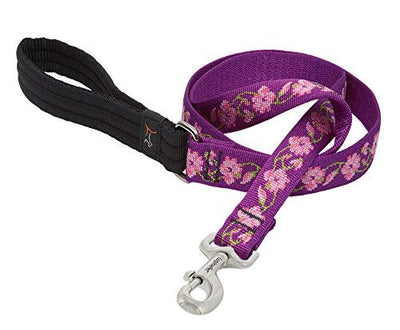 LupinePet Originals 1" Rose Garden 6-Foot Padded Handle Leash for Medium and Larger Dogs