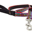Lupine Leashes