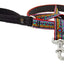 Lupine Leashes