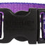 Lupine Dog Collar