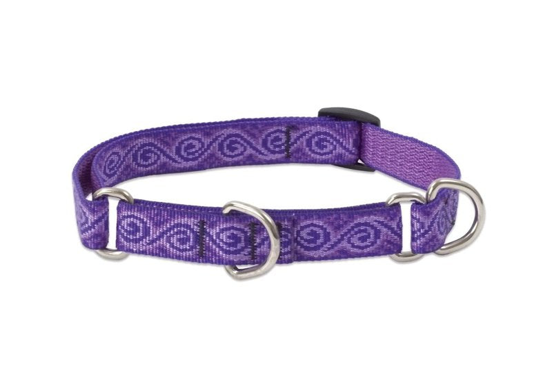 LupinePet Originals 3/4" Jelly Roll 14-20" Martingale Collar for Medium and Larger Dogs