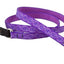 Lupine Leashes