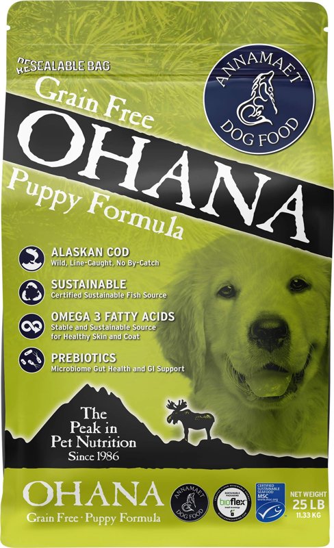 Annamaet GF Ohana Puppy