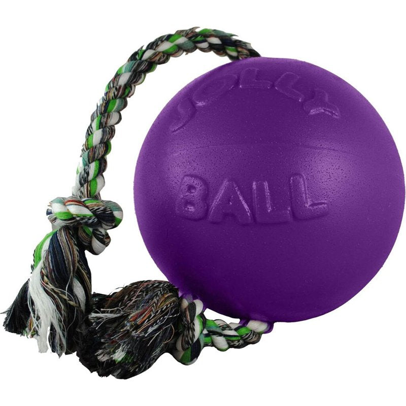 Jolly Pets Romp-n-Roll Rope and Ball Dog Toy, 8 Inches/Large, Purple, Large Breeds