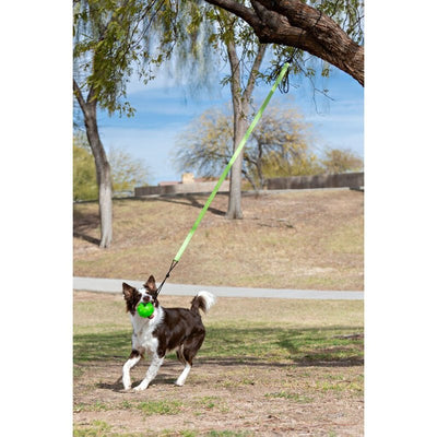 Jolly Pets Tree Tugger For Dog, Green