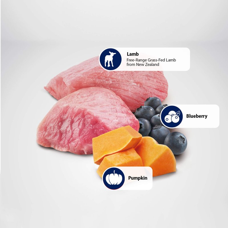 FARMINA Dry Mini Puppy Food, Lamb, Pumpkin and Blueberry Recipe, 5.5 lbs