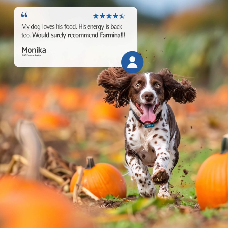 FARMINA Dry Mini Puppy Food, Lamb, Pumpkin and Blueberry Recipe, 5.5 lbs