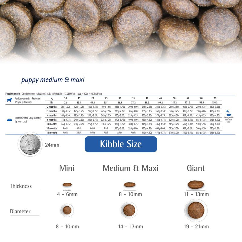 Farmina N&D Dry Puppy No-Grain Pumpkin Medium/Maxi Lamb & Blueberry 26.4 Pounds