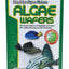 Hikari Algae Wafers