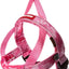 EZYDog QuickFit Harness