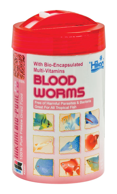 A red-capped container of Hikari Bio-Pure Fd Blood Worms Treat, 0.42 oz, showing front view with fish illustrations.