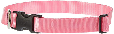 LupinePet Basics 1" Pink 16-28" Adjustable Collar for Large Dogs