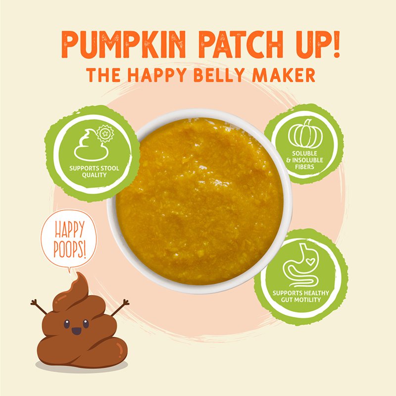 Weruva Pumpkin Patch Up! Pumpkin with Ginger & Turmeric Supplement for Dogs & Cats