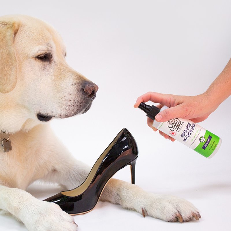 SKOUT'S HONOR Super Sour! Anti Chew Spray - Natural Bitter Formula to Deter Chewing, Licking, and Biting - Safe for Indoor and Outdoor Use, 8 oz