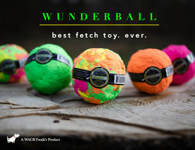 WACKYwalk'r WUNDERball Fetch Dog Toy, X-Large, Color Varies