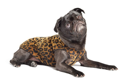 Gold Paw Stretch Fleece Dog Coat, Stretchy Pet Sweater, Machine Washable Pullover for Winter and Fall, Leopard, 10