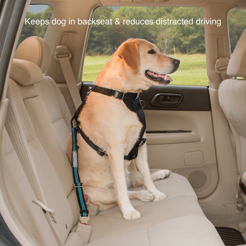 Kurgo Direct to Seatbelt Tether for Dogs, Dog Seat Belt for Car, Adjustable Dog Safety Belt Leash, Quick & Easy Installation, Works with Any Pet Harness, (Carabiner Clip, Coastal Blue)