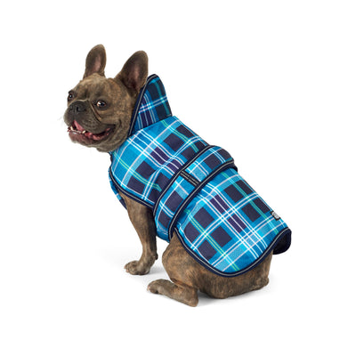 PetRageous 438TMD Kodiak Heavyweight Waterproof Winter Dog Coat with Full Dog Chest Coverage and Dog Leash Opening for Medium Sized Dogs, Teal Plaid