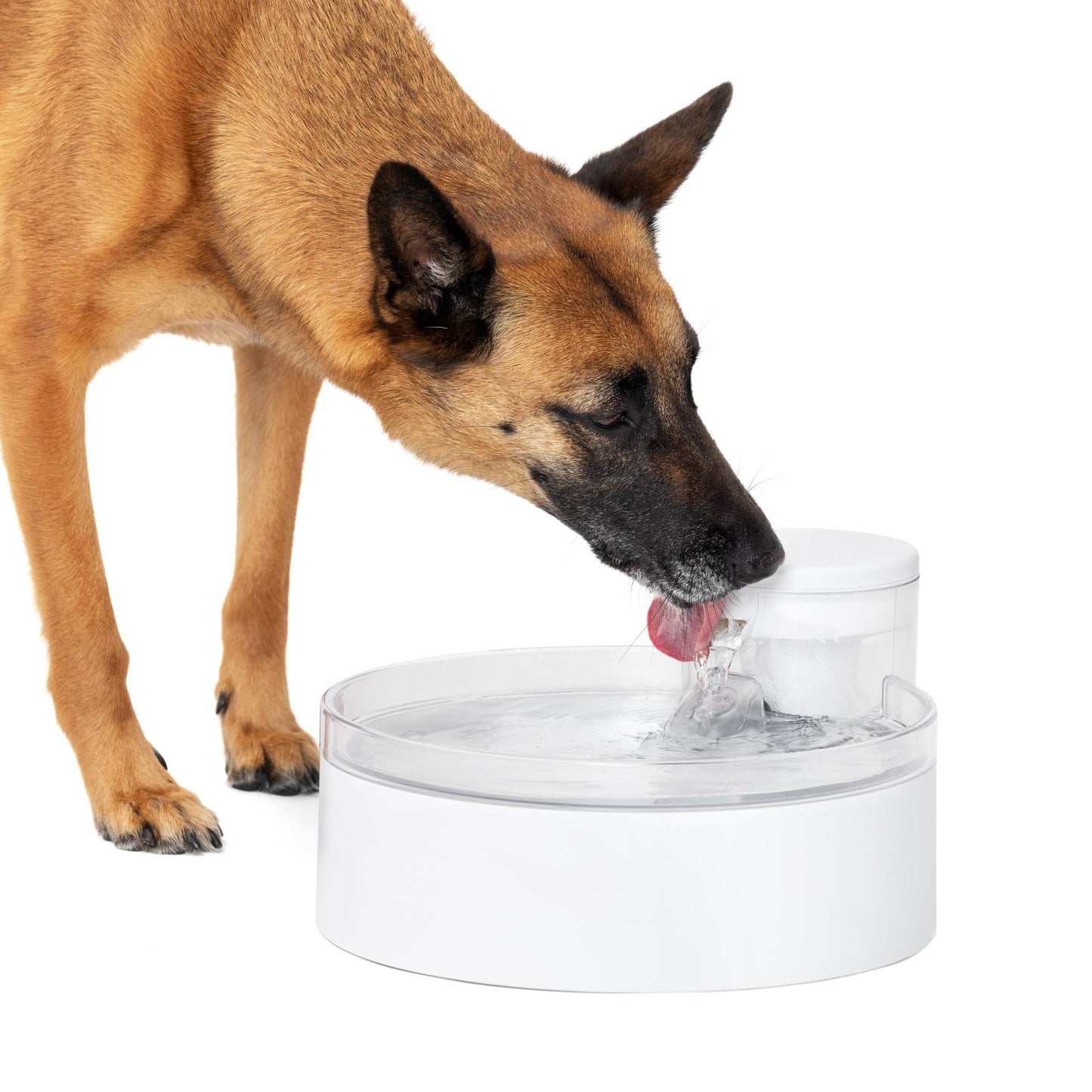 PetSafe Outlast Pumpless Dog Water Fountain 128 oz - Indoor Water Dispenser for Dogs and Multiple Cats - Dishwasher Safe, Easy Assembly and Cleaning, Water Filter Included