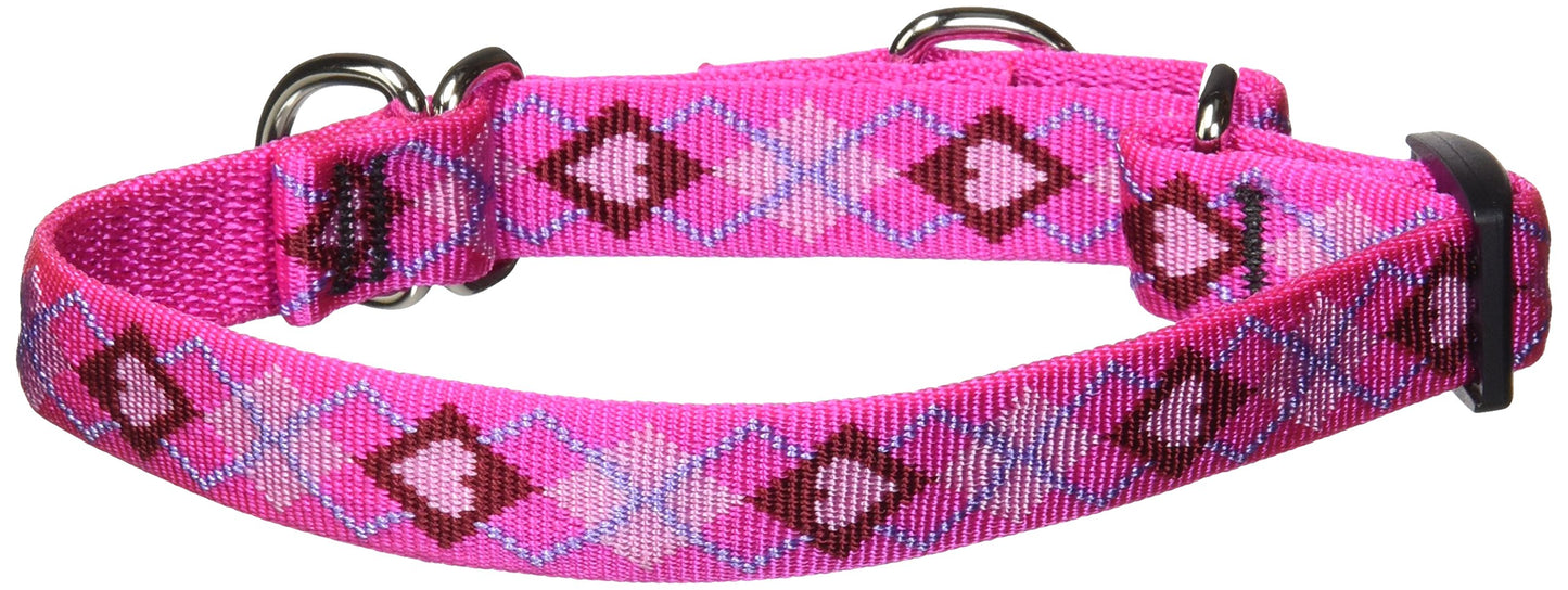 LupinePet Originals 3/4" Puppy Love 10-14" Martingale Collar for Small Dogs