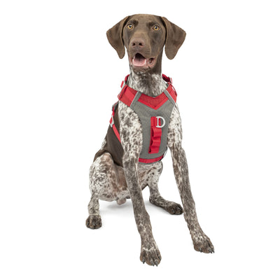 Kurgo Journey Air Dog Harness, Vest Harnesses for Dogs, Pet Hiking Harness for Running & Walking, Reflective, Padded, Includes Control Handle, No Pull Front Clip (Red, Medium)