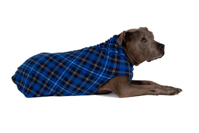 Gold Paw Stretch Fleece Dog Coat, Stretchy Pet Sweater, Machine Washable Pullover for Winter and Fall, Blue Plaid, 22