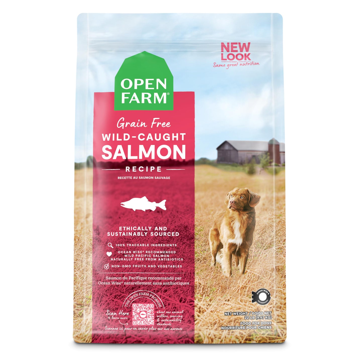 Open Farm Grain-Free Dry Dog Food with Ethically Sourced Ingredients, Non-GMO Veggies & Superfoods to Support Overall Health, Wild-Caught Pacific Salmon Recipe, 22lb Bag (352oz Bag)