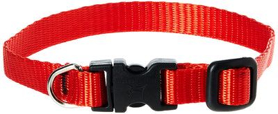 LupinePet Basics 1/2" Red 8-12" Adjustable Collar for Small Dogs