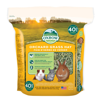 Oxbow Animal Health Orchard Grass Hay - All Natural Grass Hay for Chinchillas, Rabbits, Guinea Pigs, Hamsters, Gerbils & Other Small Pets - Grown in the USA- Fiber Rich- 40 oz.