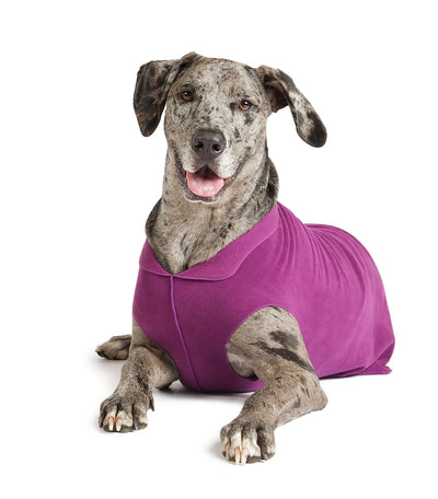 Gold Paw Stretch Fleece Dog Coat - Soft, Warm Dog Clothes, Stretchy Pet Sweater - Machine Washable, Eco Friendly - All Season - Sizes 2-33, Eggplant, Size 16