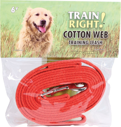 Train Right! Cotton Web Training Leash