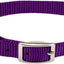 Single Ply Dog Collar