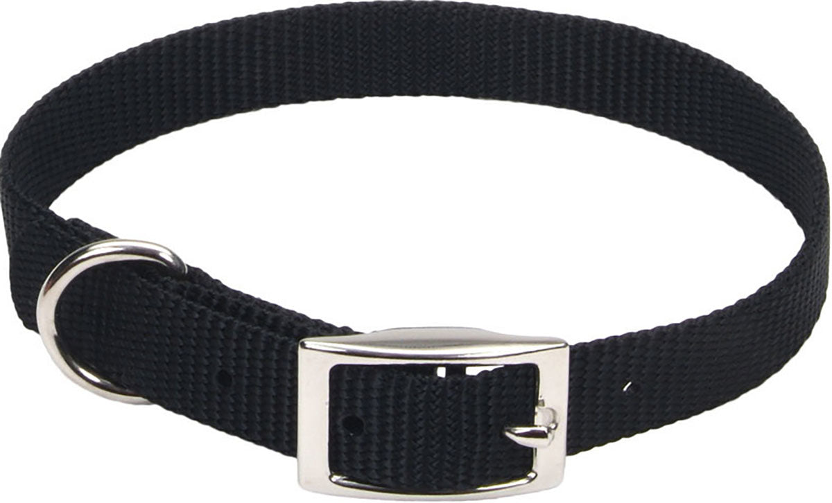 Single Ply Dog Collar
