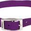Single Ply Dog Collar
