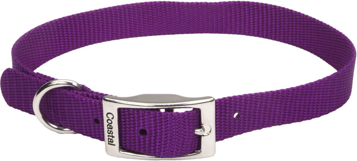 Single Ply Dog Collar
