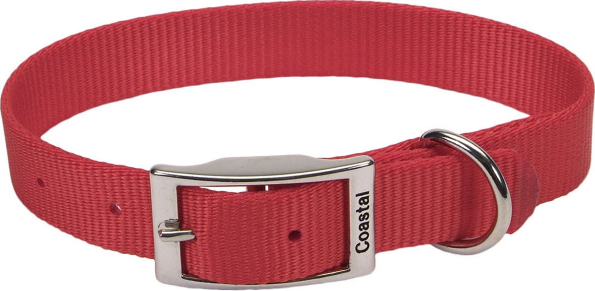 Single Ply Dog Collar