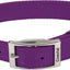 Double Ply Dog Collar