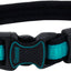 Inspire Adjustable Dog Collar