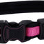 Inspire Adjustable Dog Collar