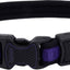 Inspire Adjustable Dog Collar