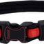 Inspire Adjustable Dog Collar