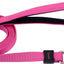 Inspire Dog Leash
